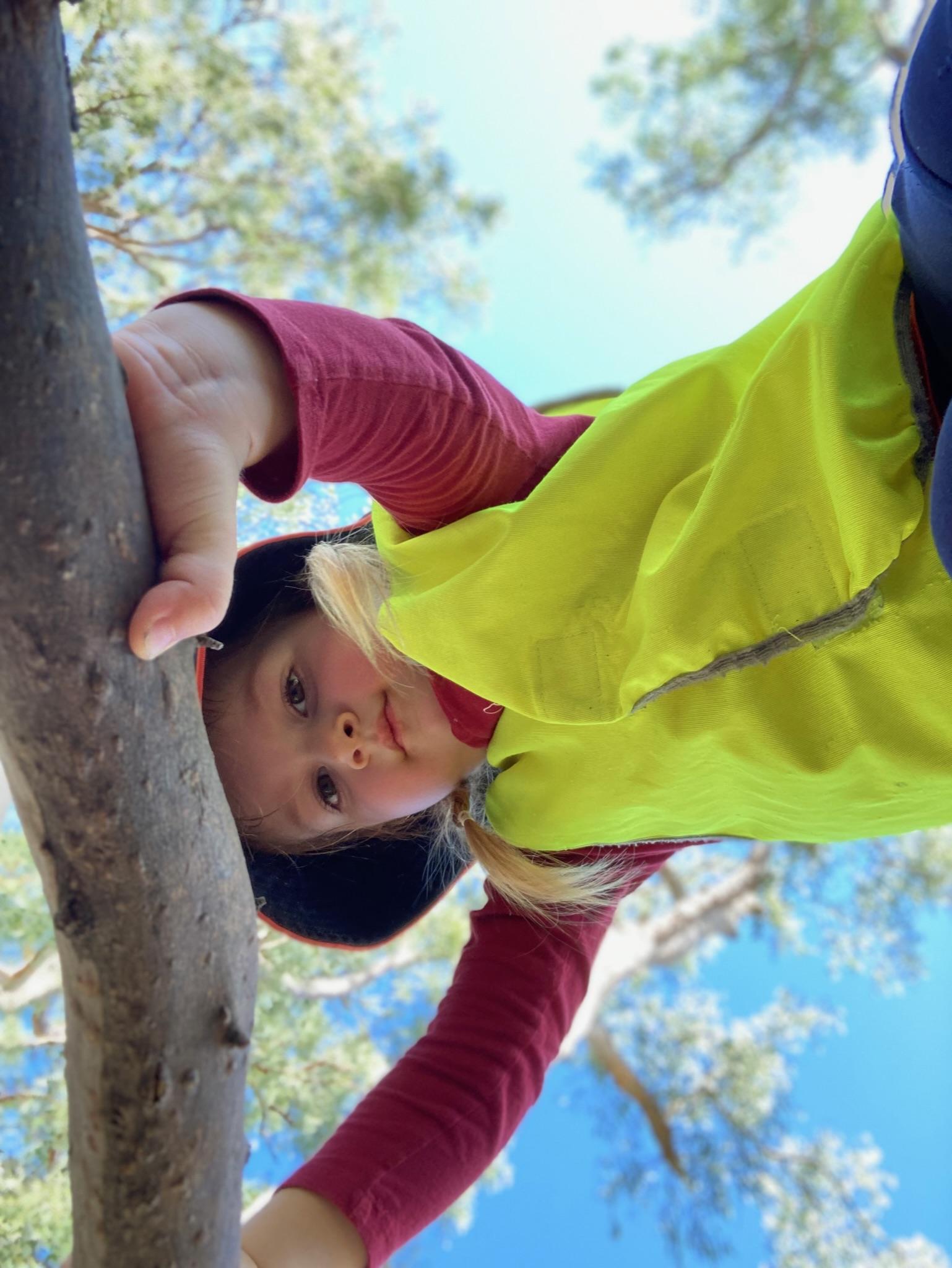 Child wearing a bright vest and hat climbing a tree, looking down toward the camera against a blue sky and leafy branches.