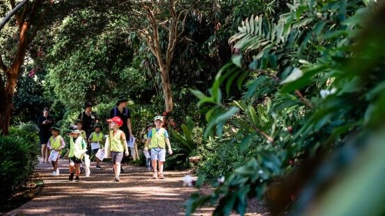 Children from Little Scholars George Street on an Urban Kinder walk through the parkland near the campus